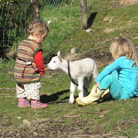 Little Paradise & Petting Farm Greymouth Exterior foto