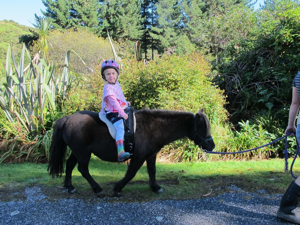 Little Paradise & Petting Farm Greymouth Exterior foto