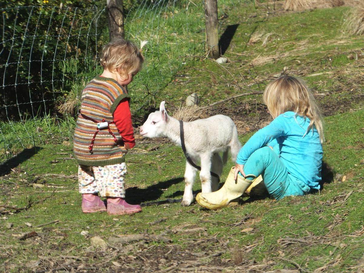 Little Paradise & Petting Farm Greymouth Exterior foto